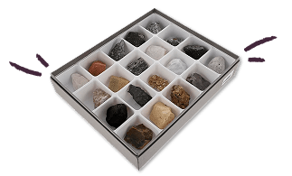 Environmental Science Image.png