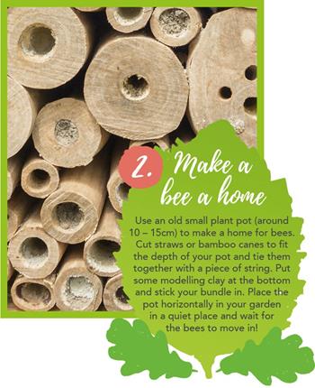 Make a bee hive
