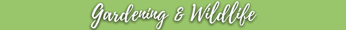 Gardening & Wildlife