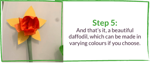 Step 5