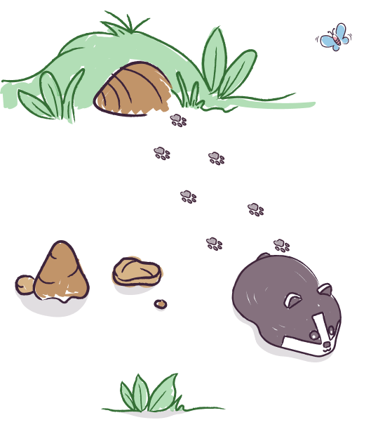 Header Illustration LEFT.png