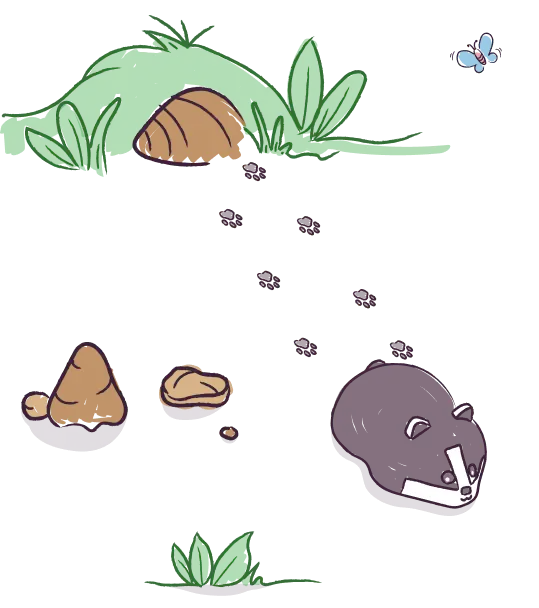 Early Years Woodland Coding Creatures | Hope