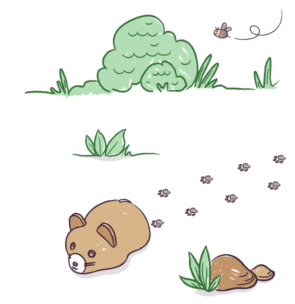 Early Years Woodland Coding Creatures | Hope