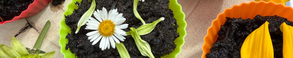 3 creative and easy summer activities for early years: Part 3