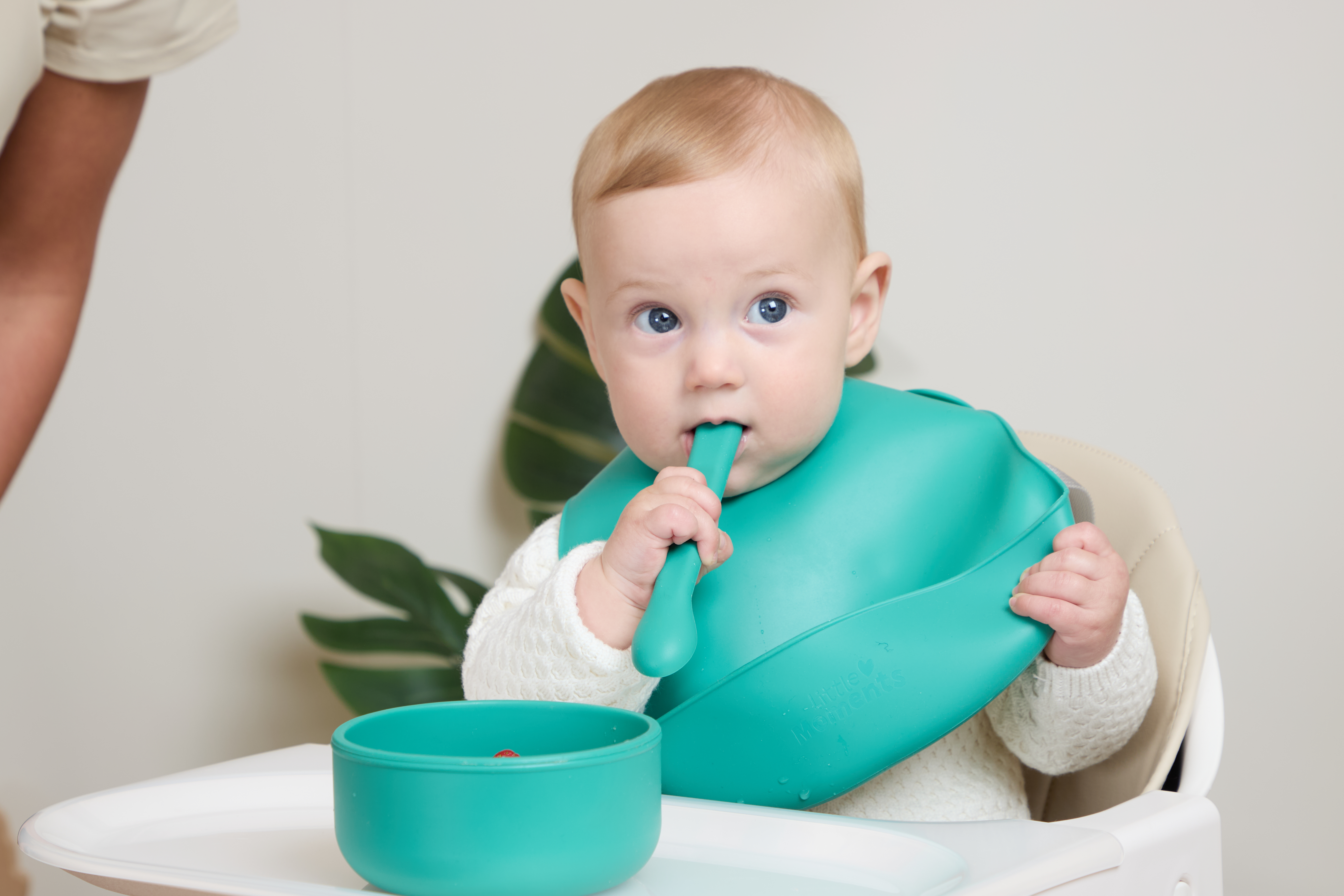 Weaning food exploration view 1