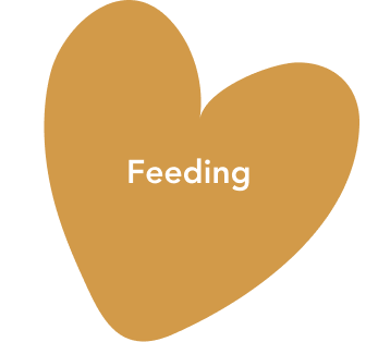 Feeding - Heart CTA.png