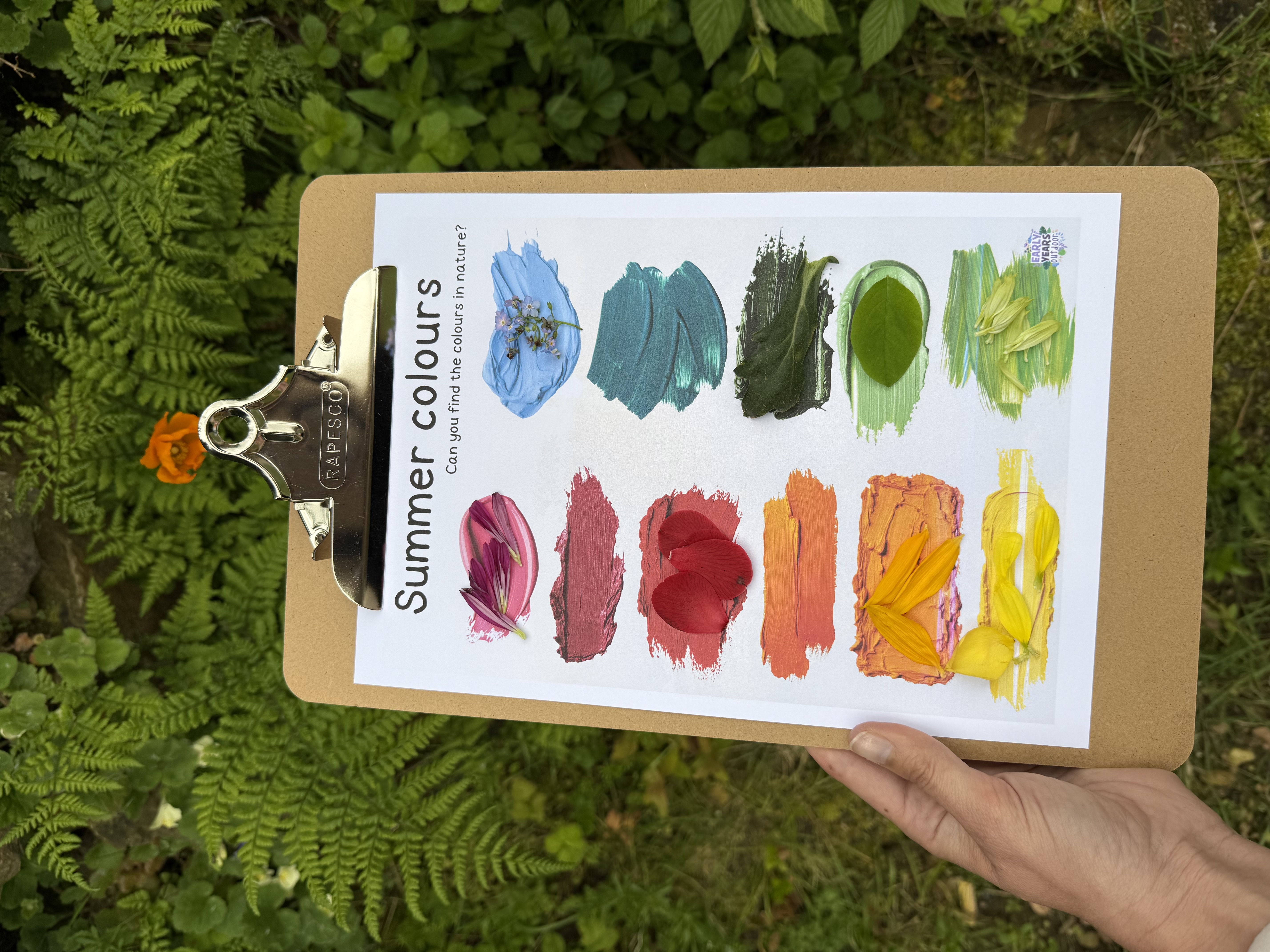 Outdoor summer activity preview 6