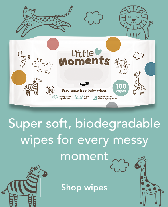 Little Moments -  Carousel 1 Mobile.png