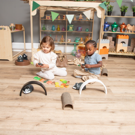 Remote control animals early years