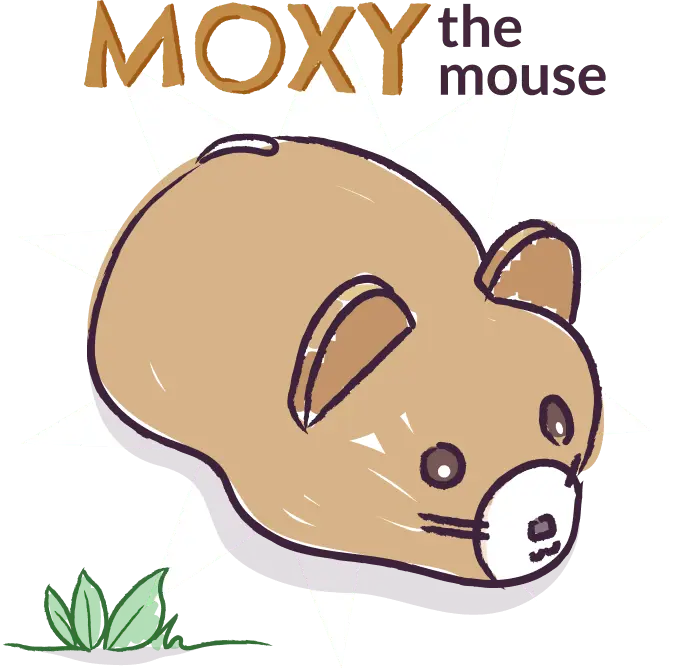 Early Years Woodland Coding Creatures | Hope