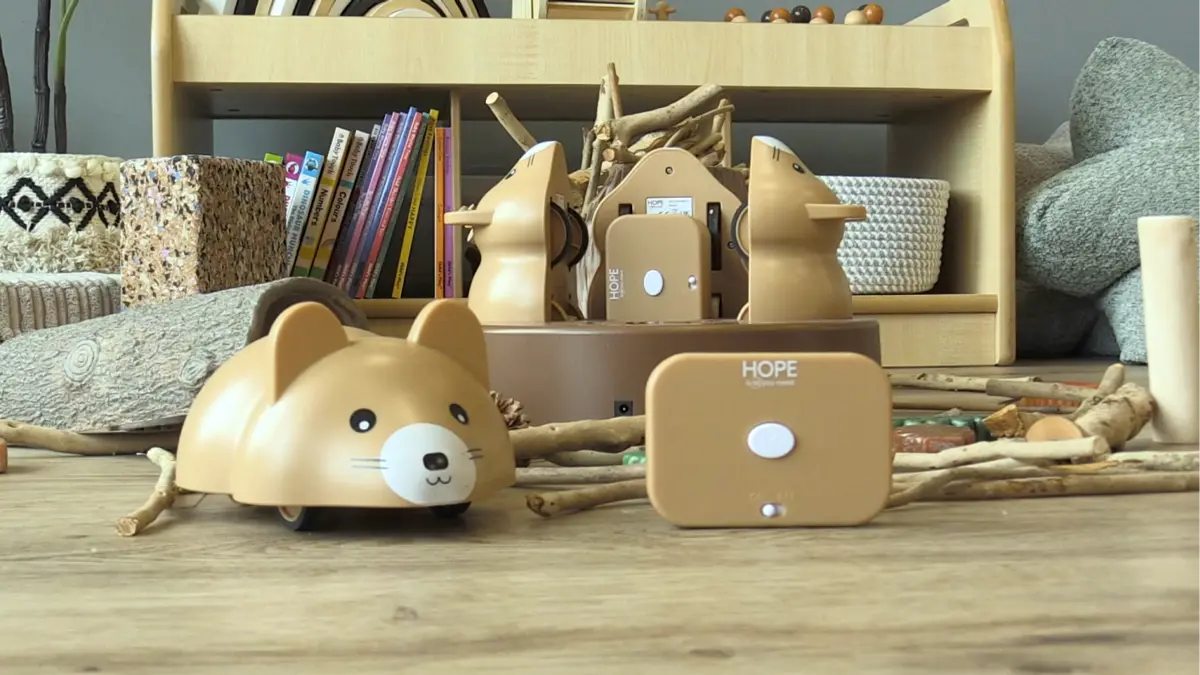 Early Years Woodland Coding Creatures | Hope