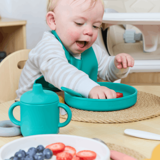 Nourishing the Next Generation.png