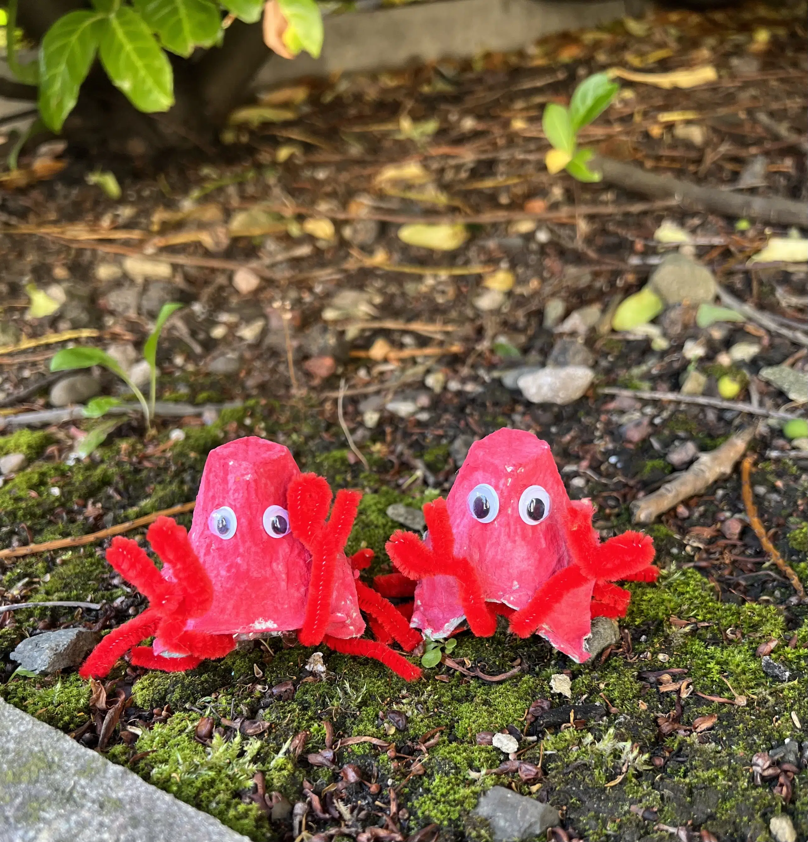 Egg carton crabs