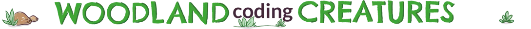 Early Years Woodland Coding Creatures | Hope